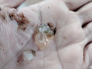 Heboh Hujan Es Guyur Boja Kendal, Ini Penjelasan BMKG Heboh Hujan Es Guyur Boja Kendal, Ini Penjelasan BMKG