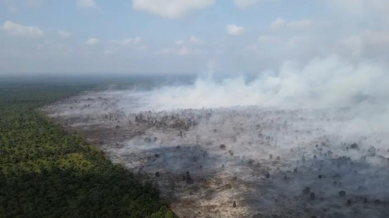 BPBD Catat 421,77 Hektare Lahan Terbakar di Jambi