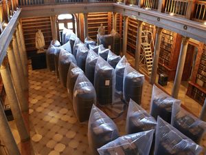 Serangga Jadi Musuh Utama Perpustakaan Tertua di Hungaria, Kenapa? Serangga Jadi Musuh Utama Perpustakaan Tertua di Hungaria, Kenapa?