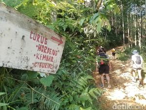 Menikmati Pesona Indah Tiga Curug Hidden Gem di Kota Bogor Menikmati Pesona Indah Tiga Curug Hidden Gem di Kota Bogor