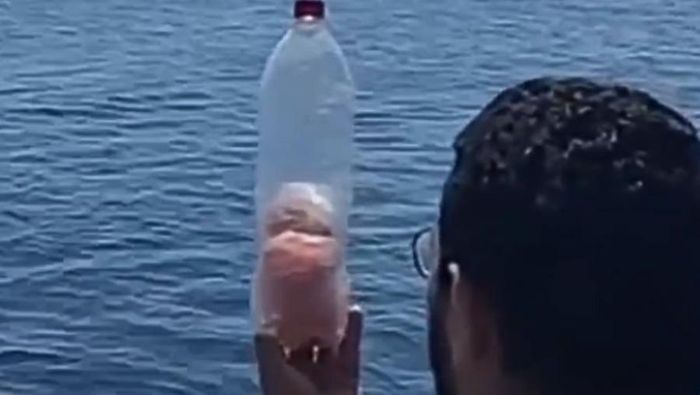 Video Aksi Haru Warga Mesir Kirim Makanan dalam Botol ke Gaza Lewat Laut 
