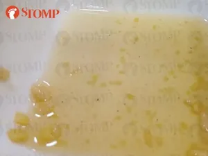 Wanita Komplain Ada Semut di Dessert, Pemilik Gerai Bantah Begini Wanita Komplain Ada Semut di Dessert, Pemilik Gerai Bantah Begini