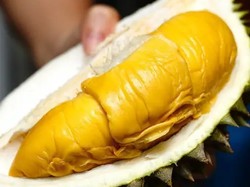 Harga Musang King Malaysia Anjlok, Ini Kata Komunitas Durian Traveler Indonesia