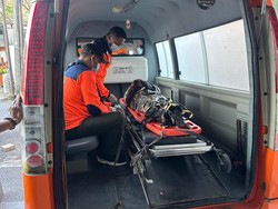 Pria di Denpasar Tewas Diserang Ayam