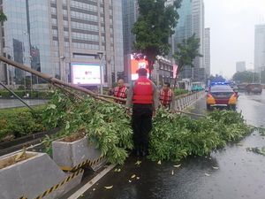 Pohon Tumbang di Jalan Sudirman Jaksel Imbas Hujan Deras, Sempat Tutup Jalan