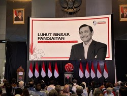 Impor Jadi Celah Korupsi, Luhut Sarankan Ini ke Prabowo