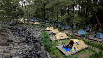 Jolotundo: Pinus Wilis Memikat, Liburan Alam Tak Terlupakan!