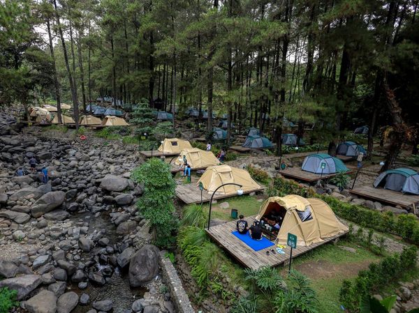 Pesona Hutan Pinus Jolotundo, Destinasi Alam Favorit di Lereng Gunung Wilis