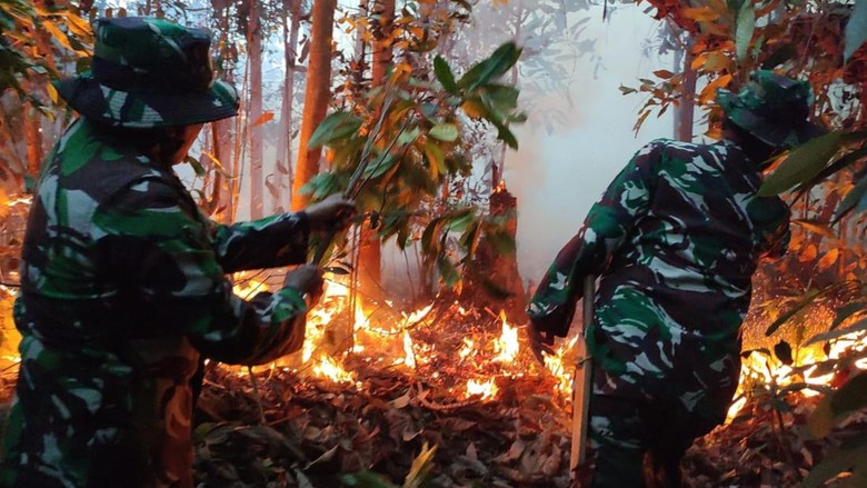 3 Hektare Lahan di Rohul Terbakar, TNI-Warga Berjibaku Padamkan Api