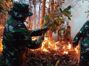 3 Hektare Lahan di Rohul Terbakar, TNI-Warga Berjibaku Padamkan Api 3 Hektare Lahan di Rohul Terbakar, TNI-Warga Berjibaku Padamkan Api