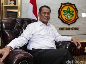 Mentan Pede RI Swasembada Beras Tahun Ini Mentan Pede RI Swasembada Beras Tahun Ini