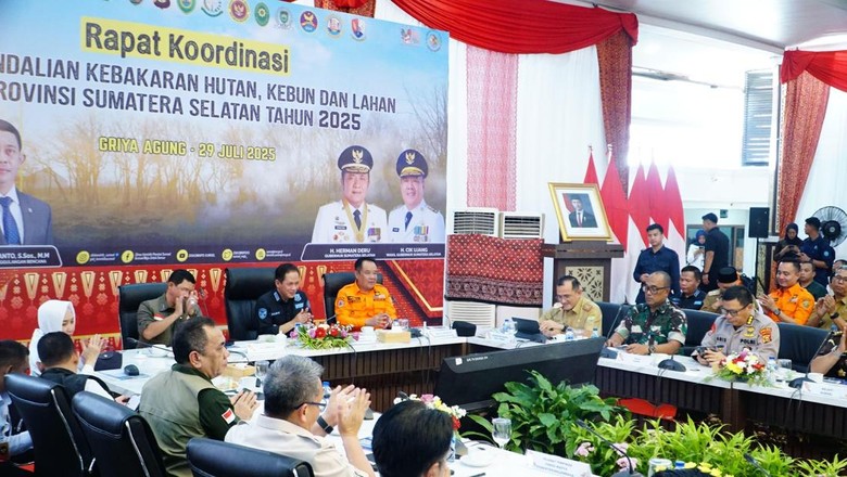 Cik Ujang Tekankan Sinergi Antarinstansi Tangani Karhutla di Sumsel