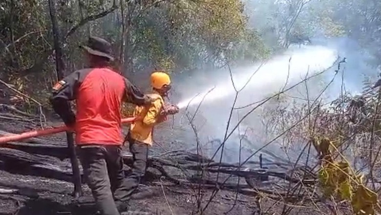BPBD Sebut Modifikasi Cuaca Efektif Padamkan Karhutla di Sumbar