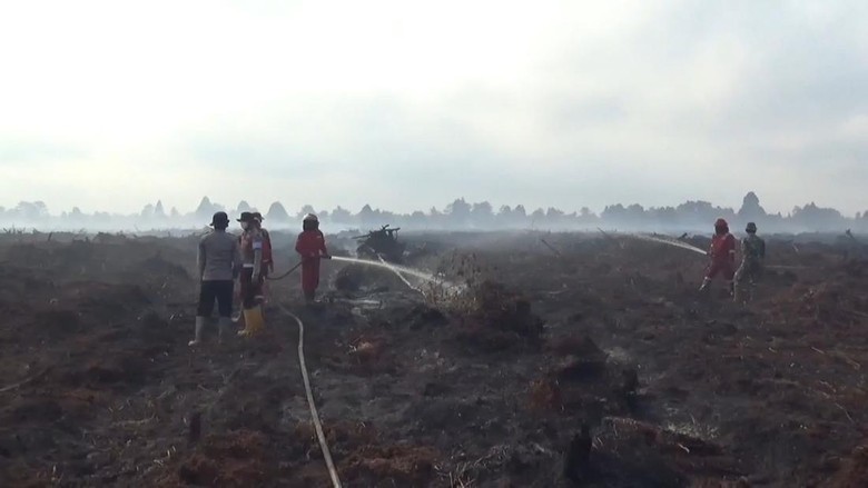 BMKG Sebut 6 daerah di Jambi Potensi Karhutla, Ini Sebaran Wilayahnya