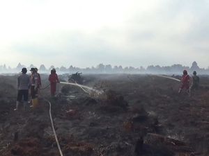 BMKG Sebut 6 daerah di Jambi Potensi Karhutla, Ini Sebaran Wilayahnya