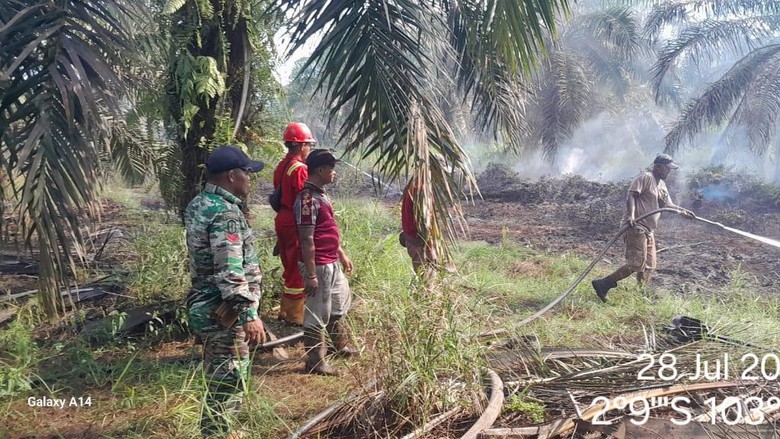 Lahan Gambut Kebun Sawit 70 Hektare di Muba Terbakar