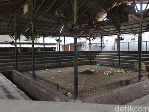 Suasana Terkini Arena Tajen di Denpasar Usai Joki Ayam Tewas Disabet Taji Suasana Terkini Arena Tajen di Denpasar Usai Joki Ayam Tewas Disabet Taji