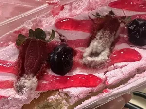Zonk! Beli Tiramisu Rp 1,4 Juta yang Datang Malah Kue Jamuran Zonk! Beli Tiramisu Rp 1,4 Juta yang Datang Malah Kue Jamuran