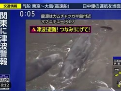 Gempa M 8,7 Guncang Rusia, Paus-Paus Terdampar di Jepang