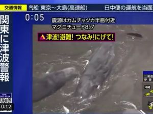 Gempa M 8,7 Guncang Rusia, Paus-Paus Terdampar di Jepang Gempa M 8,7 Guncang Rusia, Paus-Paus Terdampar di Jepang