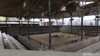 Potret Arena Tajen Berdarah yang Tewaskan Joki Ayam