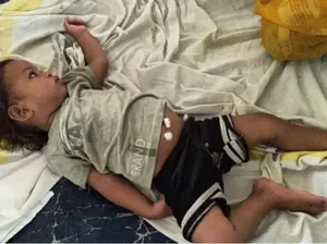 Bayi Ajaib Jadi Seleb Gegara Gigit Kobra Sampai Mati Bayi Ajaib Jadi Seleb Gegara Gigit Kobra Sampai Mati