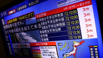 Rusia Gempa, Peringatan Tsunami Bergema di Negara-negara Ini