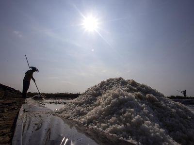Kemarau Tiba, Petambak Garam Indramayu Kejar Produksi