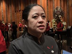 Puan Minta Pemerintah Gerak Cepat Tangani Banjir Bali