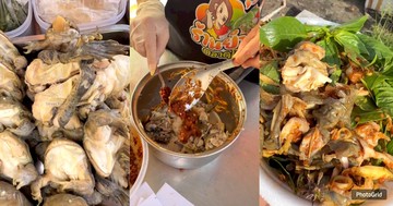 Salad Kodok Viral: Sensasi Ekstrem yang Bikin Merinding!