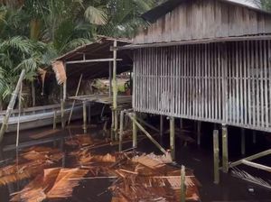 Bangunan Warga Rusak Kena Angin Helikopter, Bocah 12 Tahun Luka-luka Bangunan Warga Rusak Kena Angin Helikopter, Bocah 12 Tahun Luka-luka
