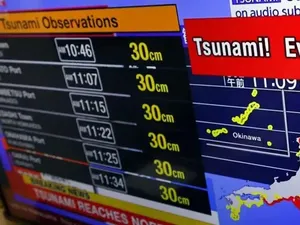 Kenapa Gempa Besar di Rusia Tidak Picu Tsunami Dahsyat?