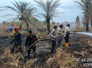 Pemadaman Lahan dan Kebun Sawit 70 Hektare di Muba Terbantu Hujan Pemadaman Lahan dan Kebun Sawit 70 Hektare di Muba Terbantu Hujan
