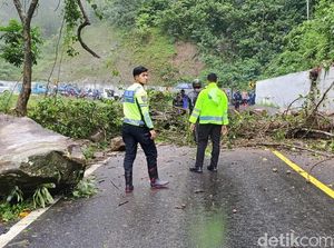 Video: Longsor-Pohon Tumbang Tutup Jalur Lintas Selatan Lumajang-Malang Video: Longsor-Pohon Tumbang Tutup Jalur Lintas Selatan Lumajang-Malang