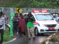 3 Titik Longsor dan Pohon Tumbang Tutup Jalur Lumajang-Malang