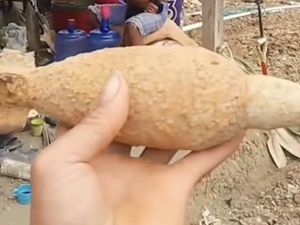Penampakan Mortir yang Ditemukan Petani Enrekang di Ladang Bawang Penampakan Mortir yang Ditemukan Petani Enrekang di Ladang Bawang