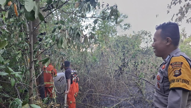 Karhutla Meningkat 2 Pekan Terakhir, Lubuklinggau Tetapkan Status Siaga