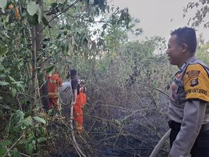 Karhutla Meningkat 2 Pekan Terakhir, Lubuklinggau Tetapkan Status Siaga Karhutla Meningkat 2 Pekan Terakhir, Lubuklinggau Tetapkan Status Siaga