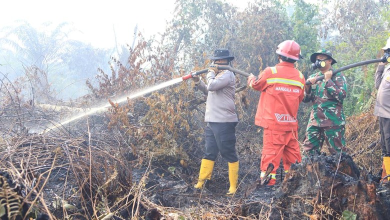 Karhutla di Inhil Masuki Tahap Pendinginan, TNI-Polri-BPBD Tetap Waspada