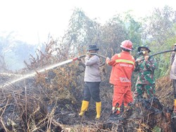 Karhutla di Inhil Masuki Tahap Pendinginan, TNI-Polri-BPBD Tetap Waspada