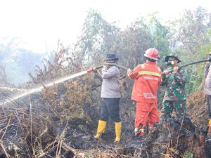 Karhutla di Inhil Masuki Tahap Pendinginan, TNI-Polri-BPBD Tetap Waspada Karhutla di Inhil Masuki Tahap Pendinginan, TNI-Polri-BPBD Tetap Waspada