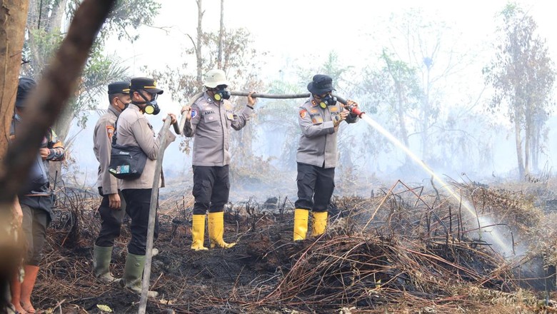 Hotspot di Riau Muncul di 4 Titik, Seluruhnya Tertangani dengan Cepat