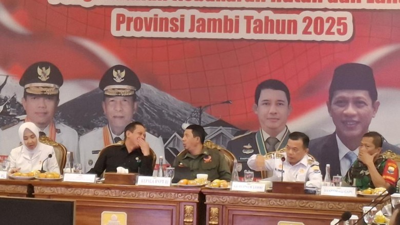 Menteri LH Akui Jambi Berhasil Atasi Karhutla dari Tahun ke Tahun