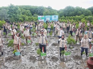 Mangrove Festival Dimulai di Banyuwangi, Gaungkan Gaya Hidup Rendah Emisi