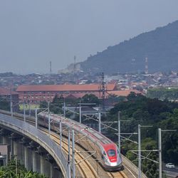 Berita dan Informasi Restrukturisasi Terkini dan Terbaru Hari ini - detikcom