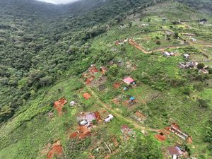 Hutan Lindung Tacugama Terancam oleh Bangunan Ilegal