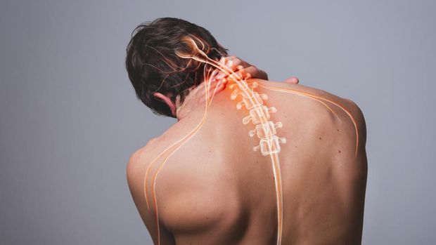 Healthcare and medicine human anatomy illustration