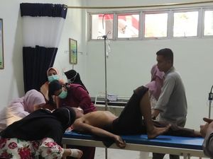 Penyemprot Gulma Akasia di Pelalawan Diterkam Harimau, Kepala-Leher Robek Penyemprot Gulma Akasia di Pelalawan Diterkam Harimau, Kepala-Leher Robek