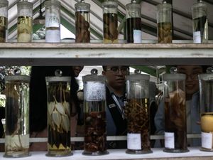 Mengenal Obat Tradisional Lewat Eduwisata Tanaman Herbal di Karanganyar Mengenal Obat Tradisional Lewat Eduwisata Tanaman Herbal di Karanganyar