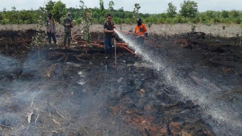 Karhutla di Muara Enim Sudah 7 Hari, BPBD: Masih Berasap
